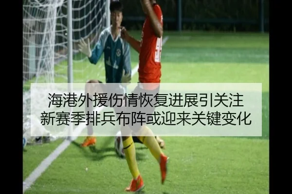 海港外援伤情恢复进展引关注 新赛季排兵布阵或迎来关键变化